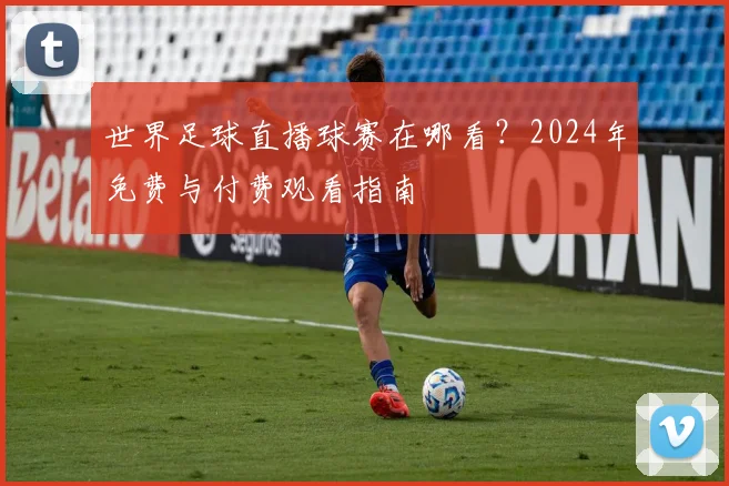 世界足球直播球赛在哪看？2024年免费与付费观看指南