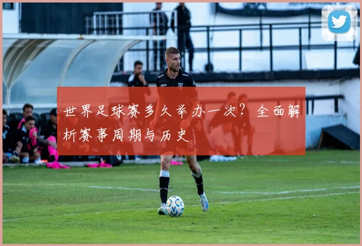 世界足球赛多久举办一次?全面解析赛事周期与历史